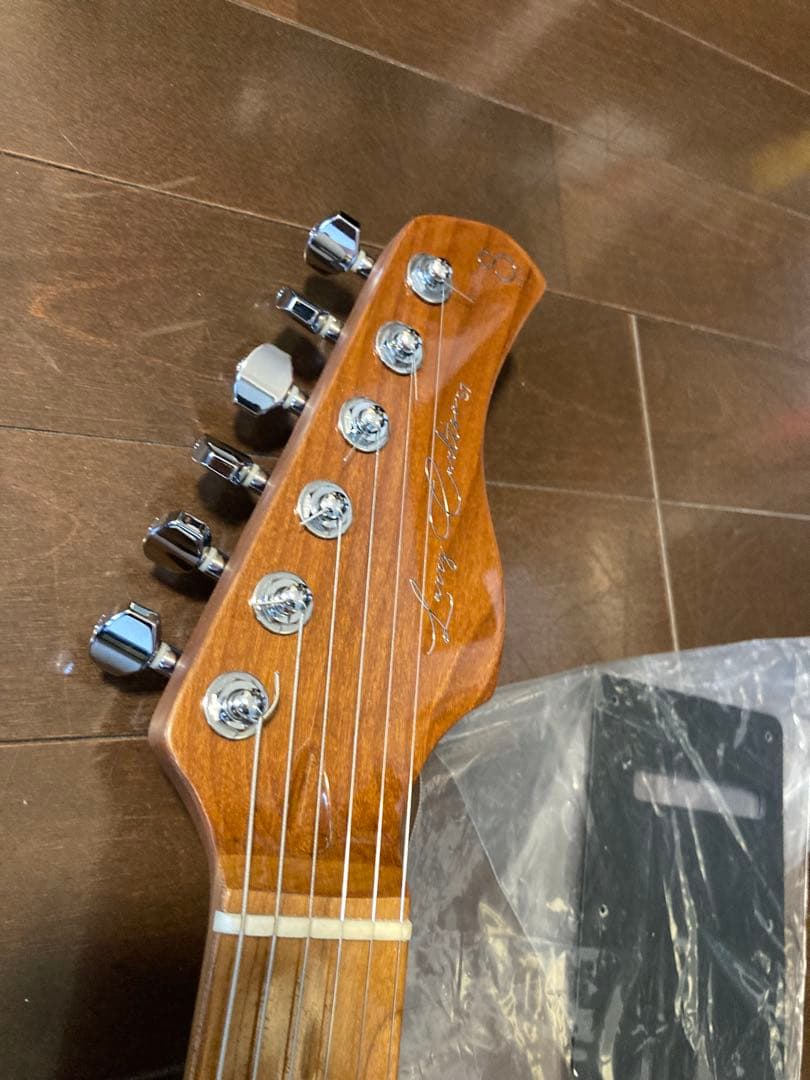 Sire S7 vin ホワイト 新品ソフトケース付き　ラリーカールトン監修