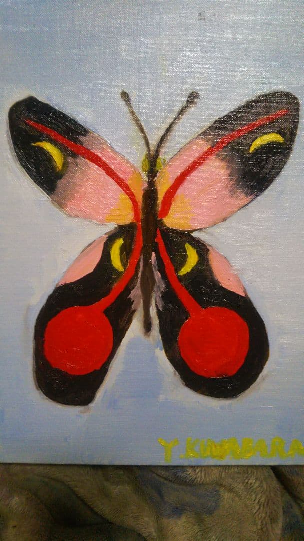 題名『幸運を呼ぶ蝶々』