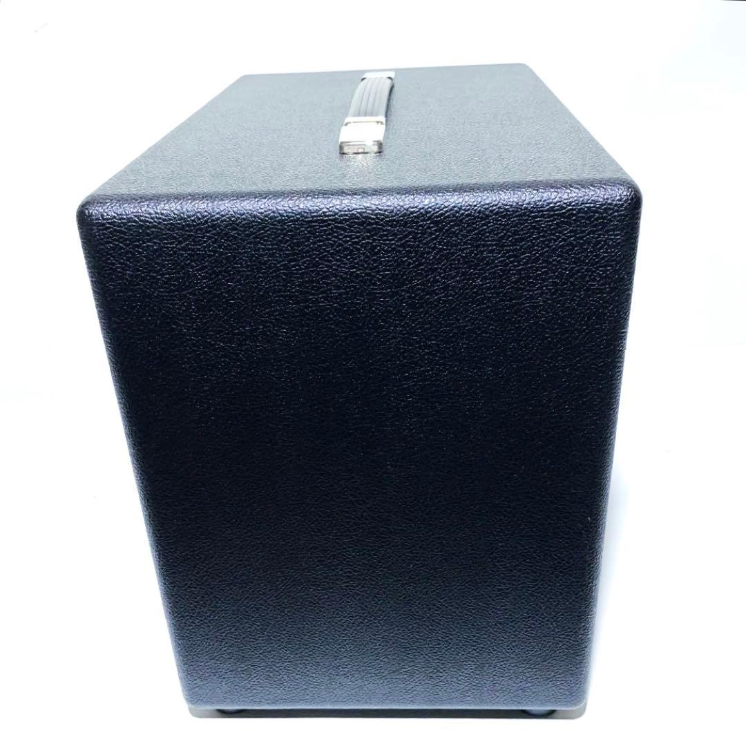 Custom Audio Amplifiers CAA112 ベースアンプ