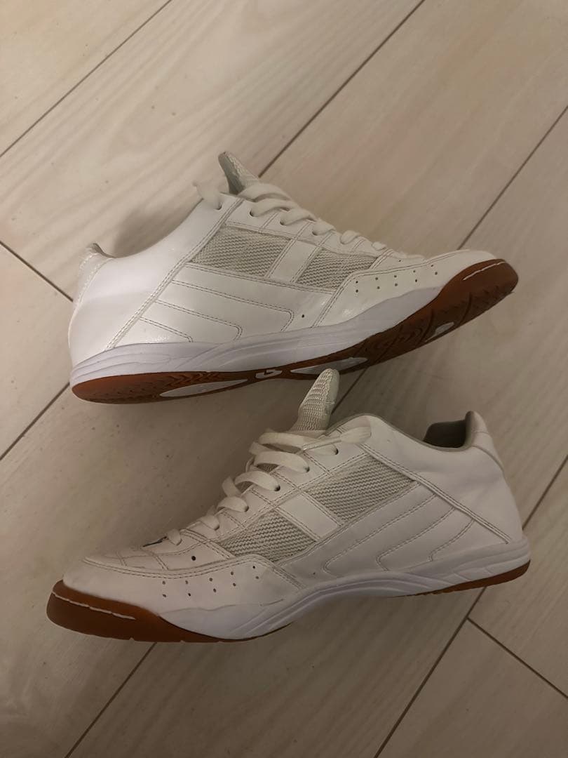 【値下げ】デスポルチ　テッサライトID3