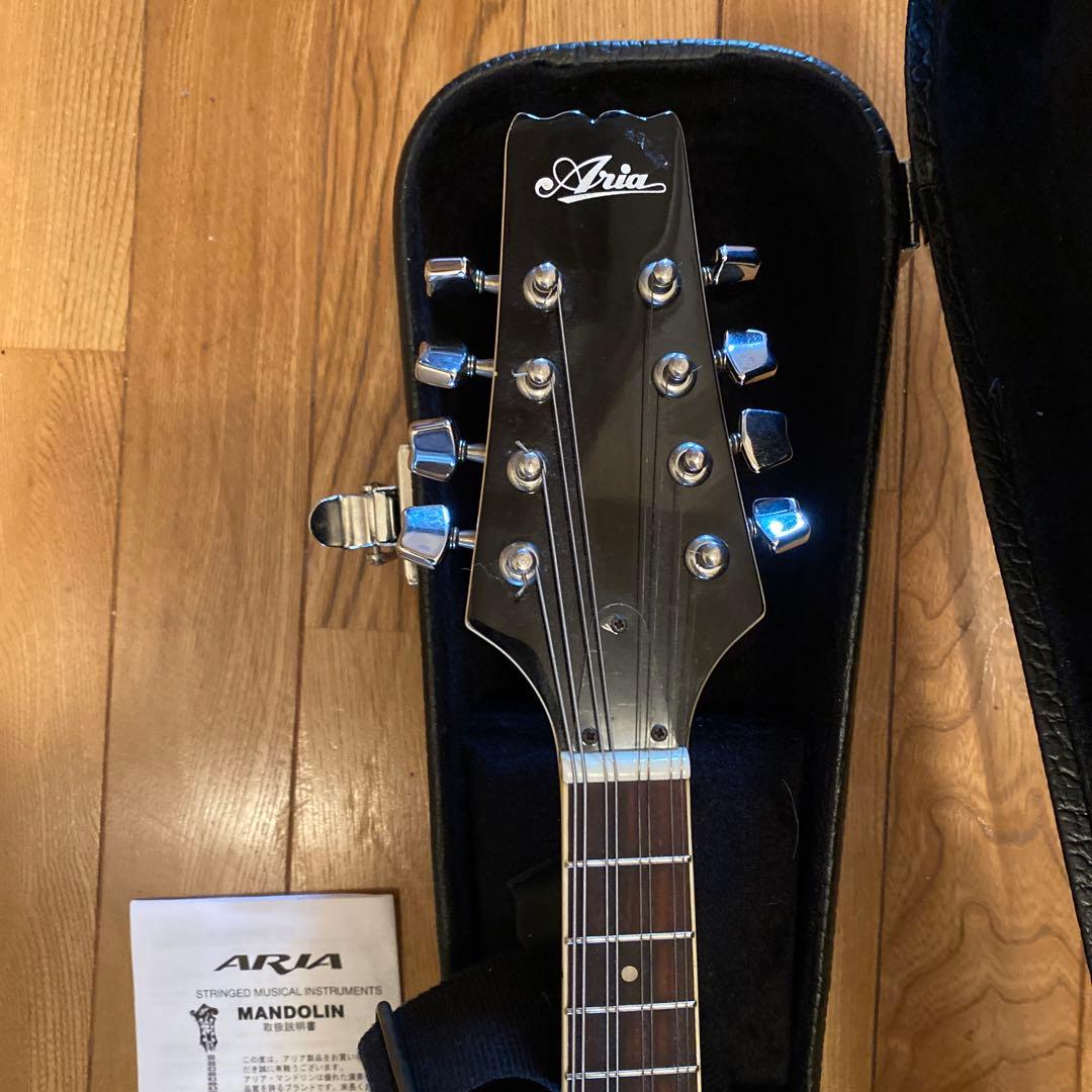 弦楽器 ARIA Mandolin