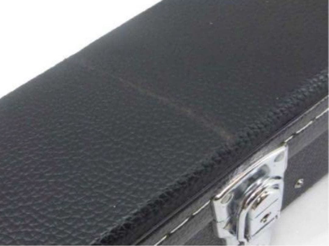 フェルナンデスZO3ハードケース