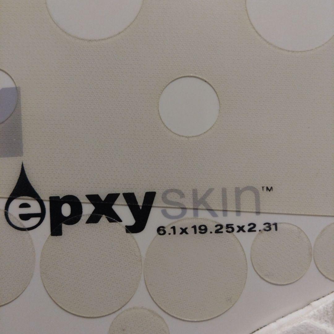 SANTA CRUZ BARNEY MODEL サーフボード 6.1