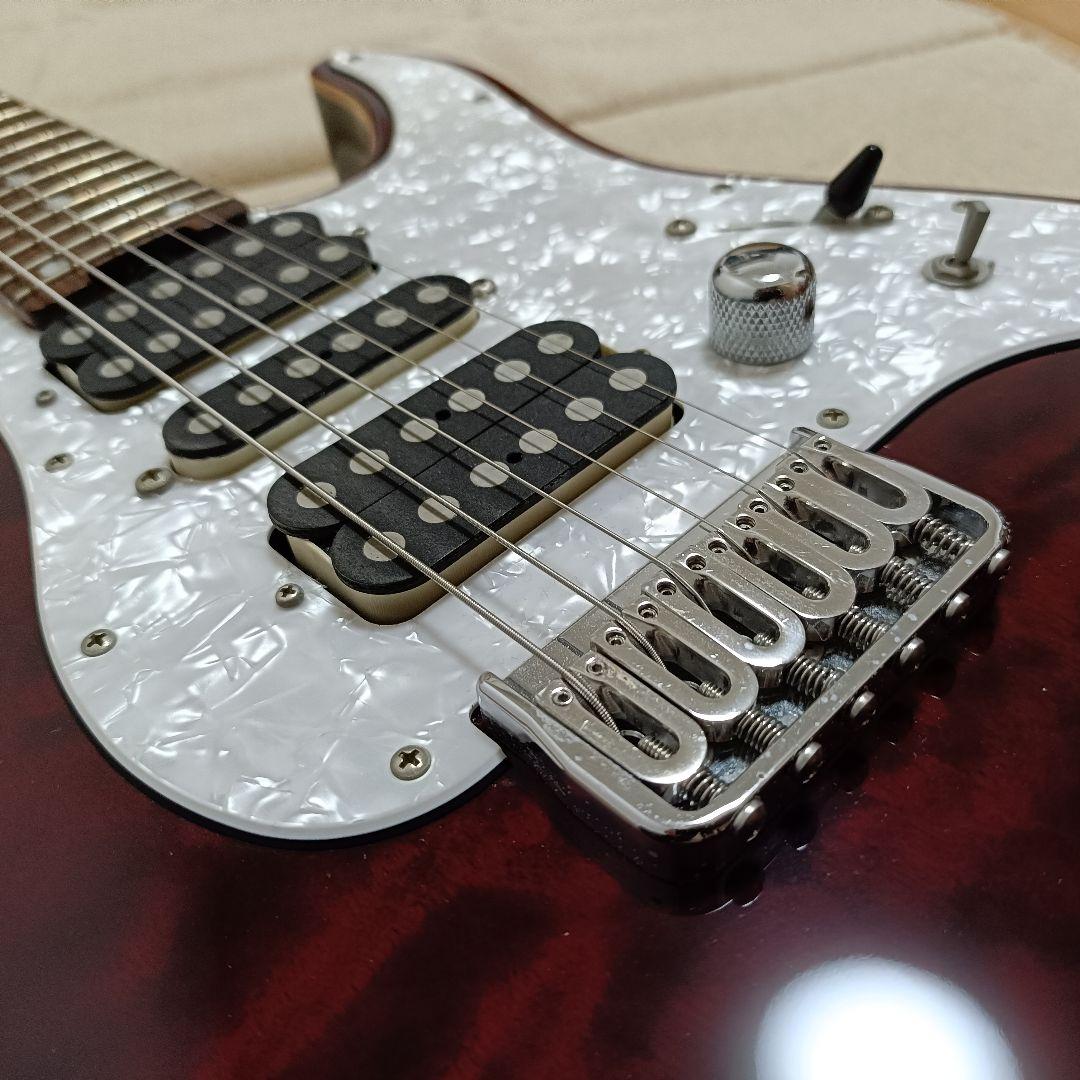 【引き取り限定】SCHECTER SD-2-24-AL カスタム シェクター