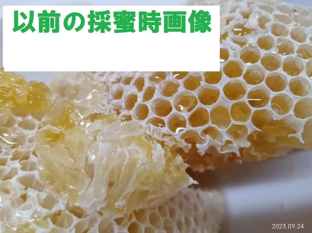 二ホンミツバチ「盛り上げ巣ハチミツ」　＋「ファースト・ドロップ」計２本セット