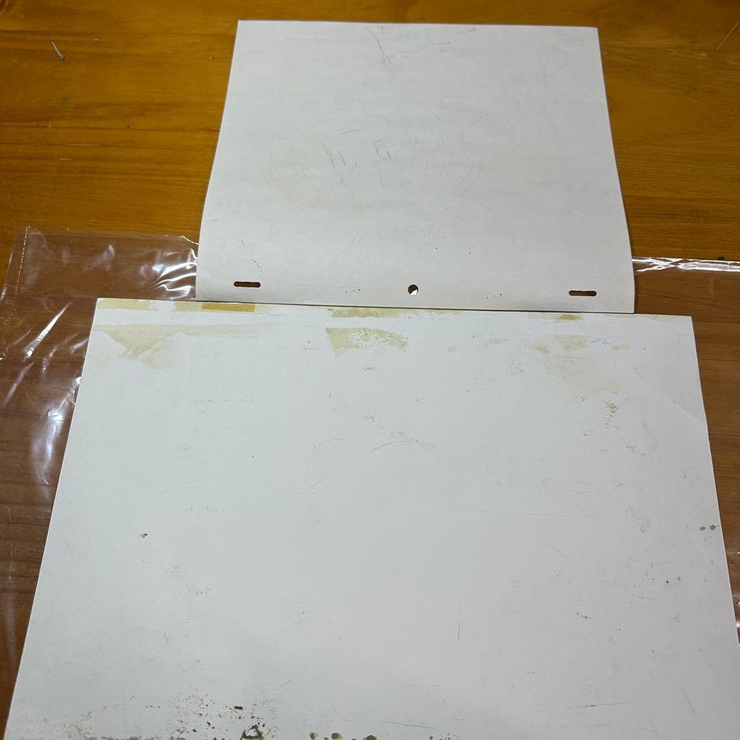 セル画 背景付 動画 スレイヤーズ リナ=インバース 6004