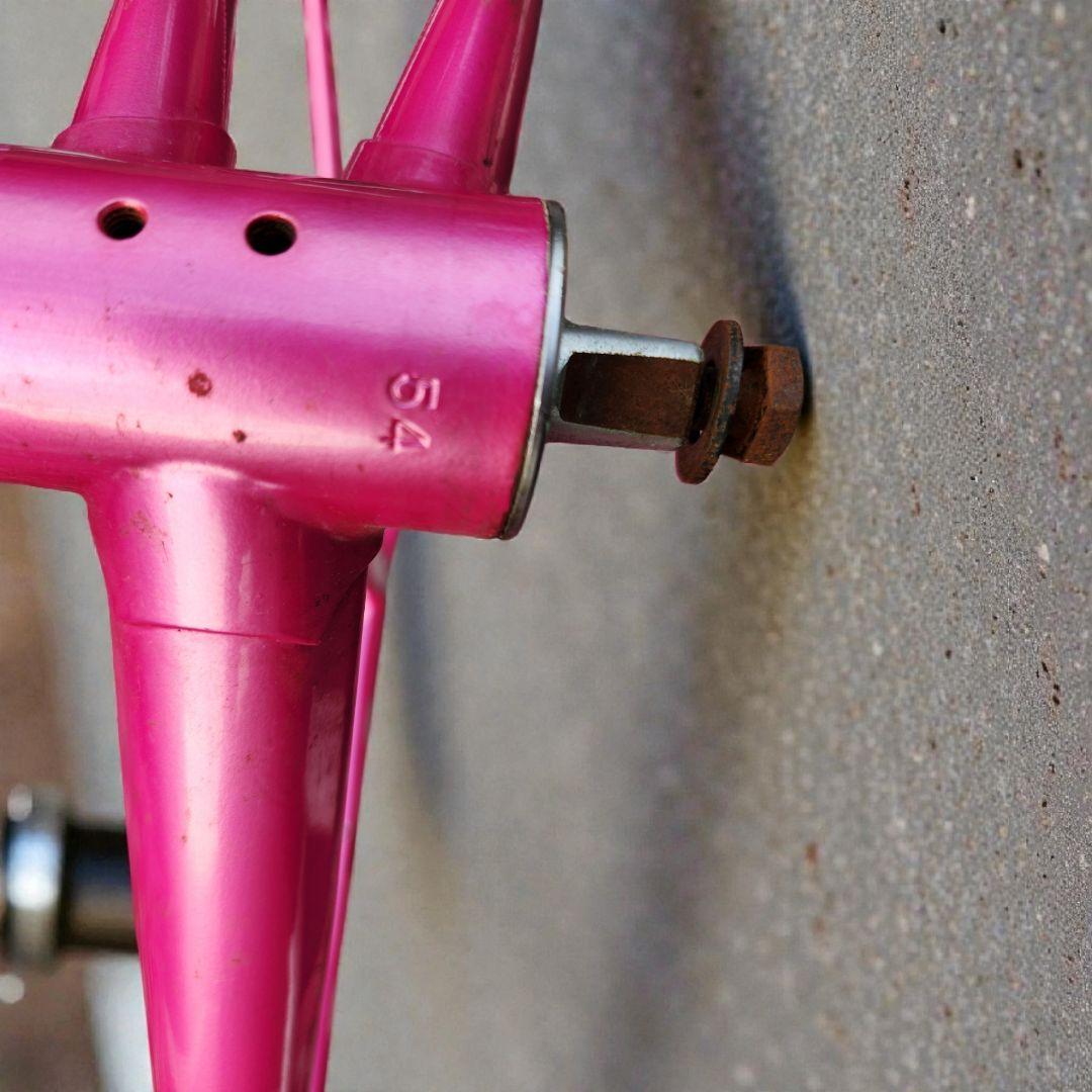 ブリヂストンANCHOR neo-cotピストフレーム 激レア