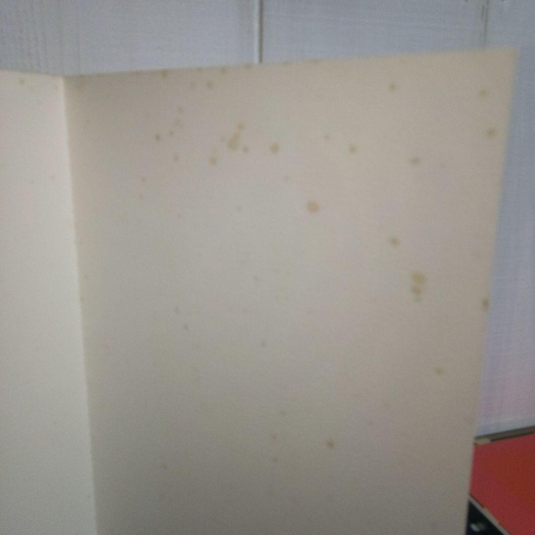 カシニョール　リトグラフ