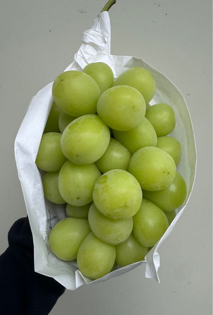 山梨県産JA共選品シャインマスカット⭐️8房入り箱込み約6.3キロ