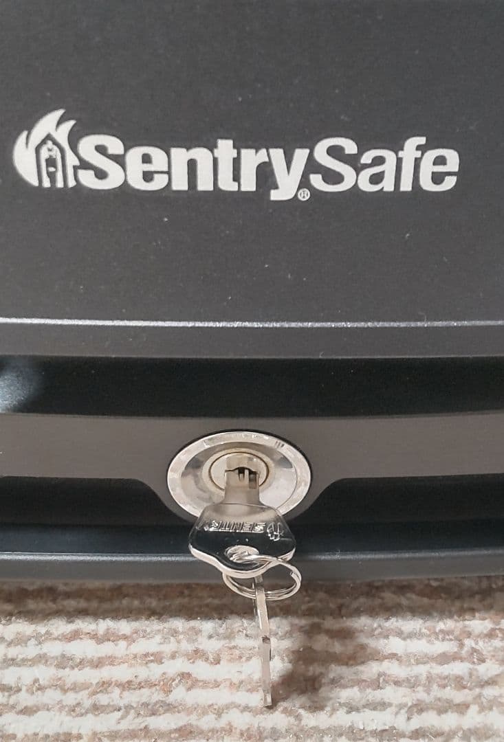 SENTRY (セントリー)耐火金庫 手提げ型