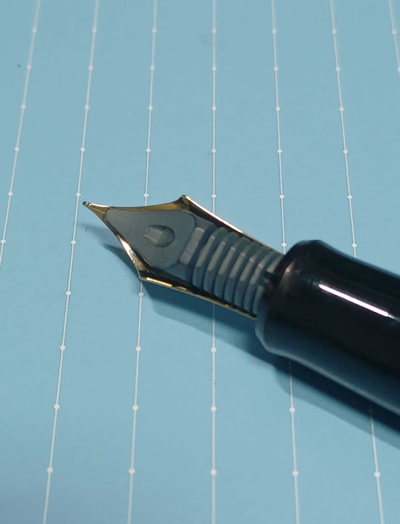 カスタム845 万年筆 F 万年筆 パイロット エボナイト PILOT