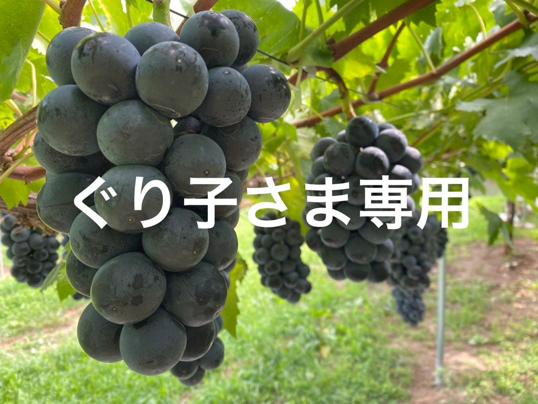 ぐり子さま専用♡