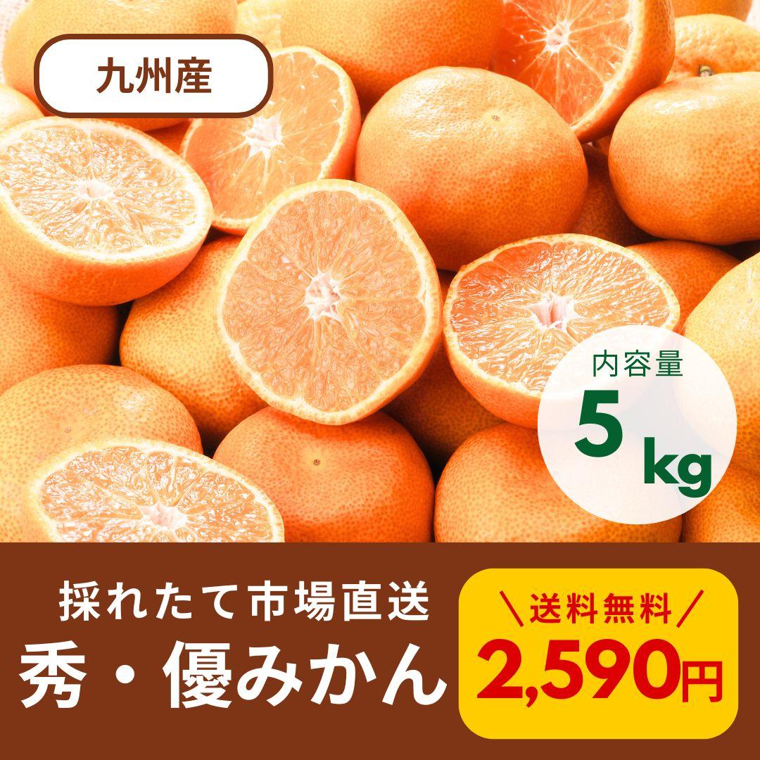 にゃんこ様用 送料無料 秀品優品 温州みかん 5kg ×4箱セット 綺麗なみかん