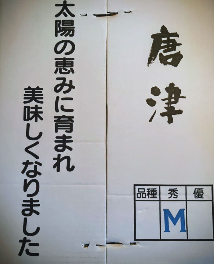 にゃんこ様用 送料無料 秀品優品 温州みかん 5kg ×4箱セット 綺麗なみかん