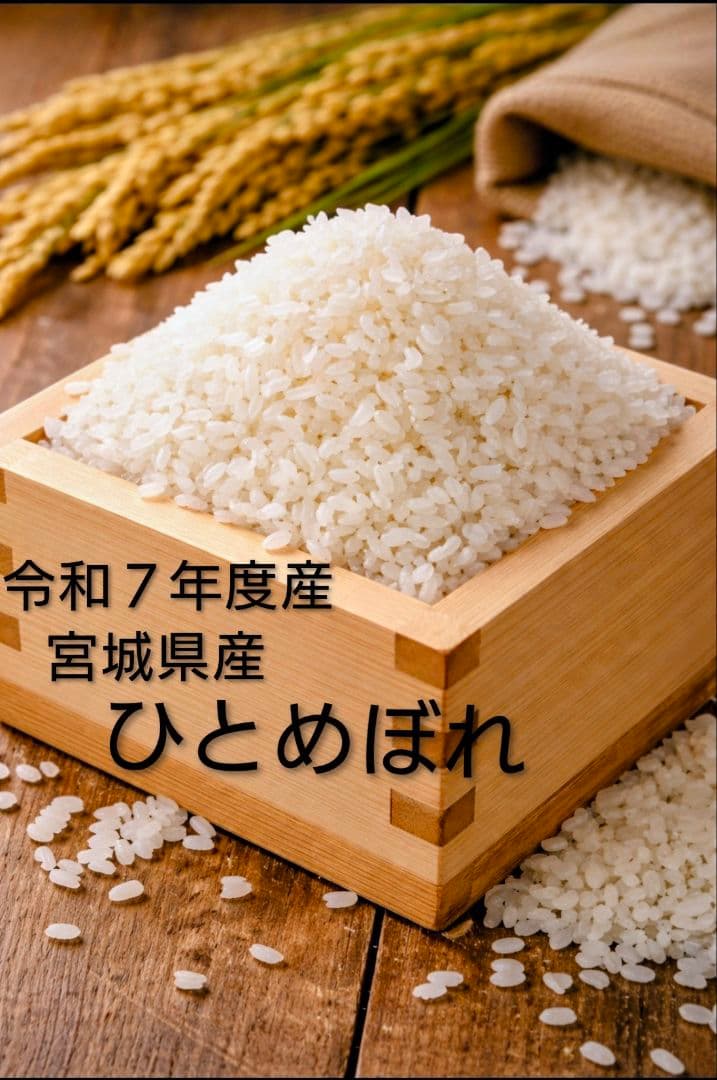 宮城県産 ひとめぼれ 令和7年度産 10kg