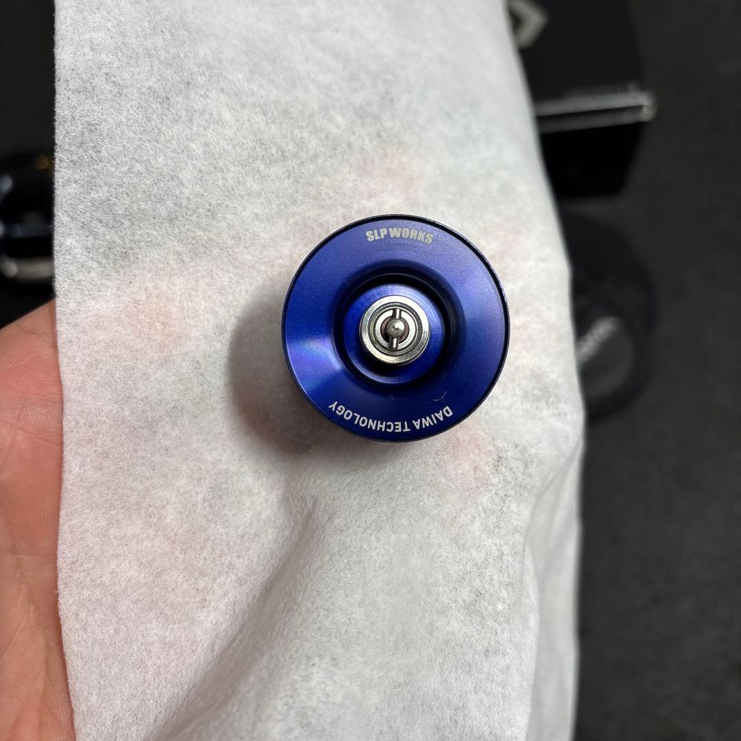 DAIWA STEEZ A TW HLC 8.1L左　イッセイスプール付