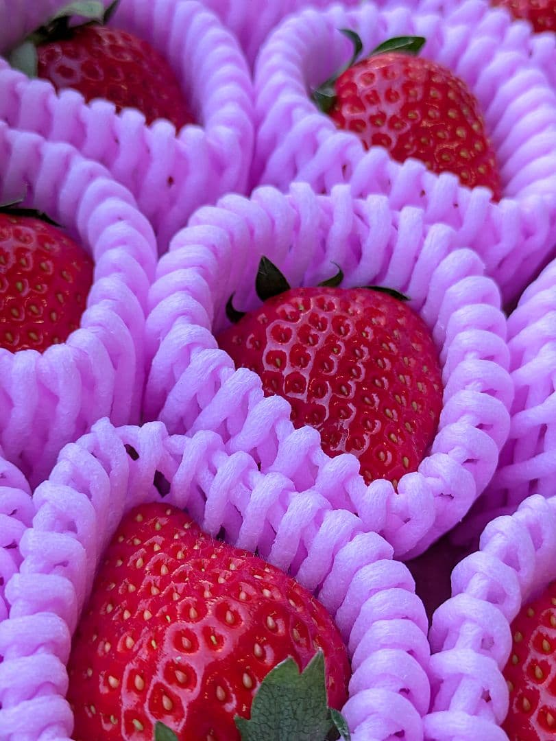 専用♡④はるひ♡完熟苺♡３Ｌサイズ♡コンパクトBOXいっぱい