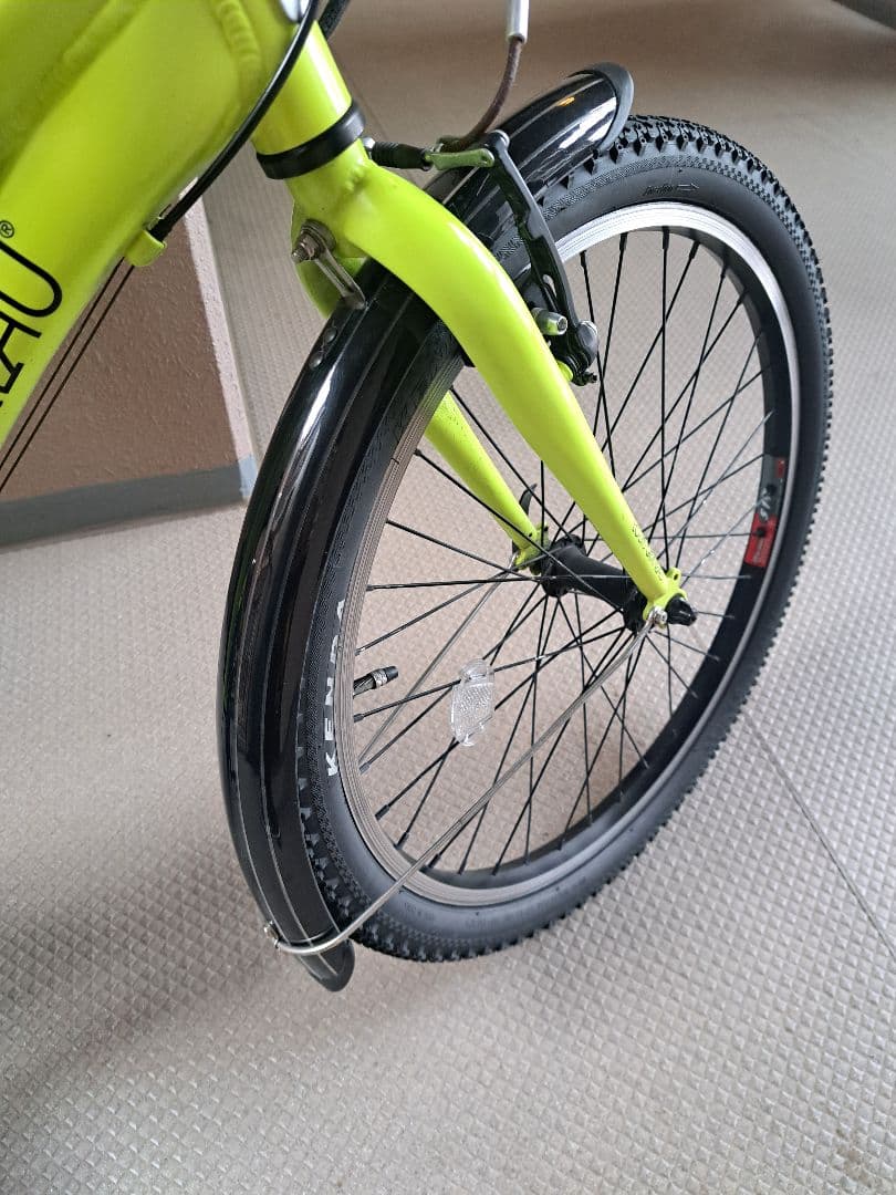 【直接受渡し可】ルイガノ LOUIS GARNEAU 22㌅ キッズ 自転車