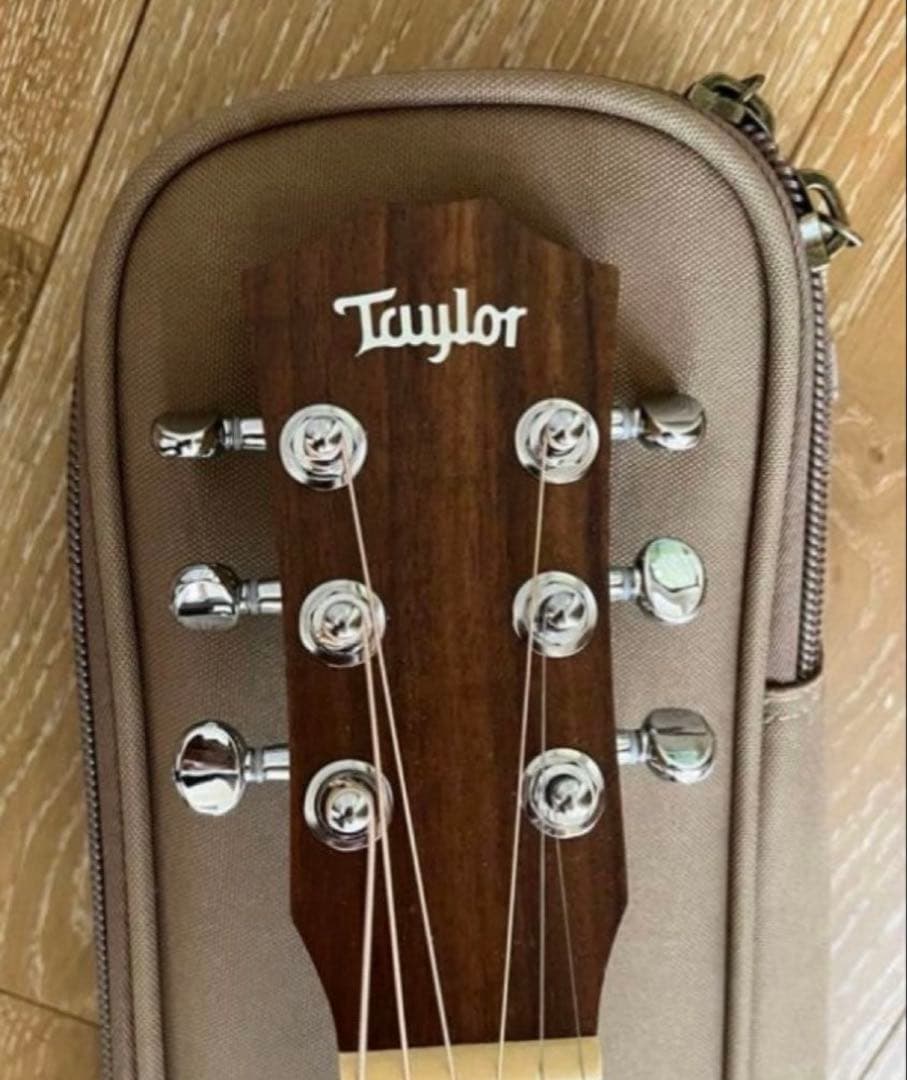 Baby Taylor BT1e_エレアコ