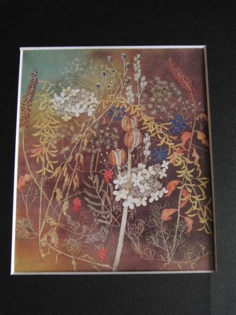 堀文子、【冬の華】、希少な額装用画集より、新品額装付、状態良好