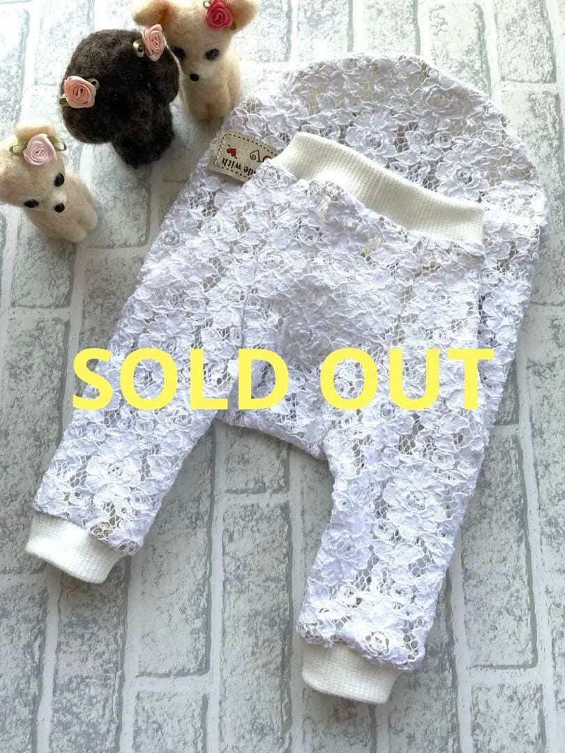 犬服 ラグラン(M) ꒡̈⃝Lily꒡̈⃝ハンドメイド