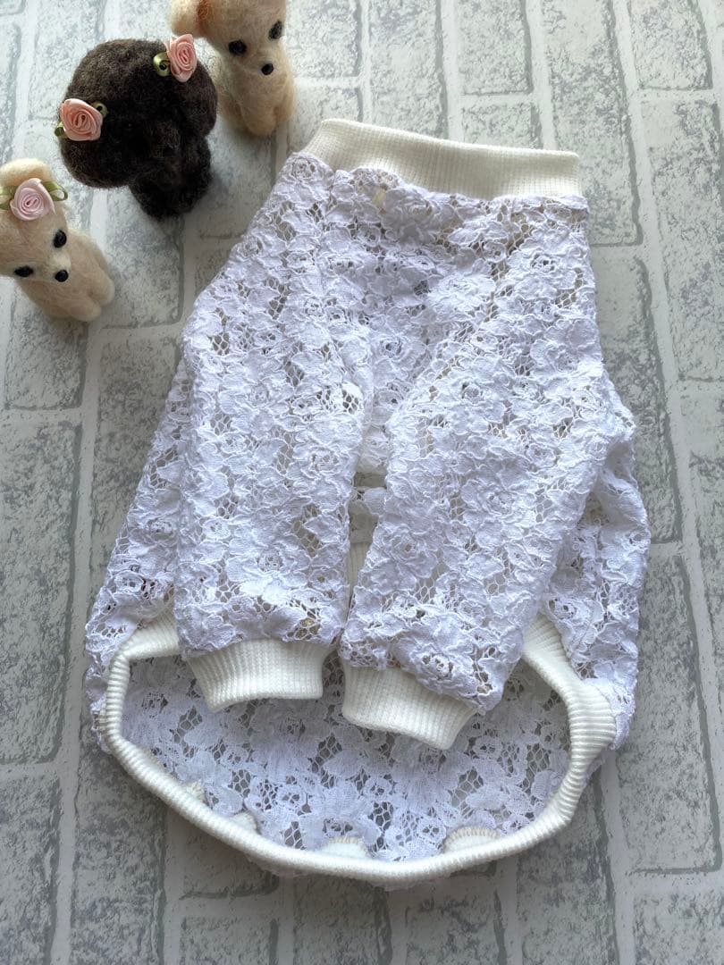 犬服 ラグラン(M) ꒡̈⃝Lily꒡̈⃝ハンドメイド