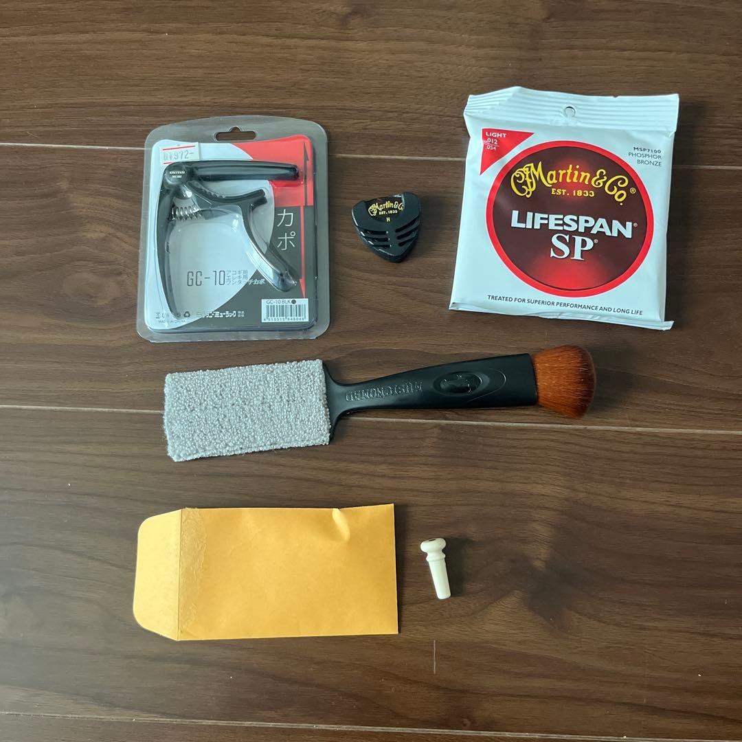 ギター Martin &Co EST.1833 GPCX1RAE