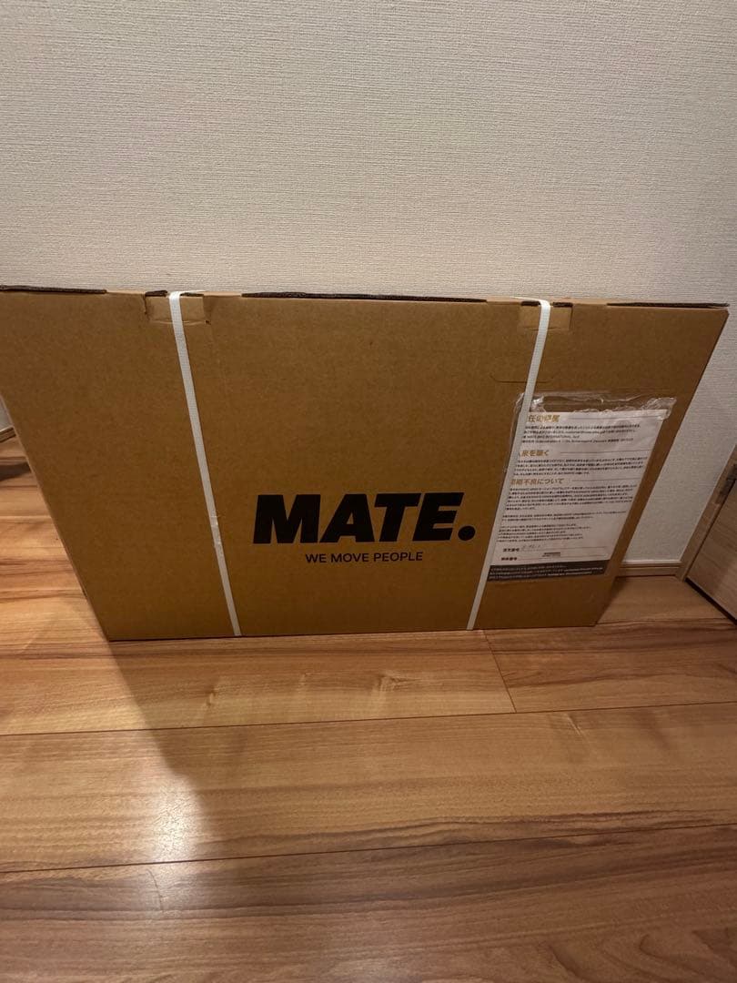 MATE MINI citrus beat キッズバイク　ストライダー