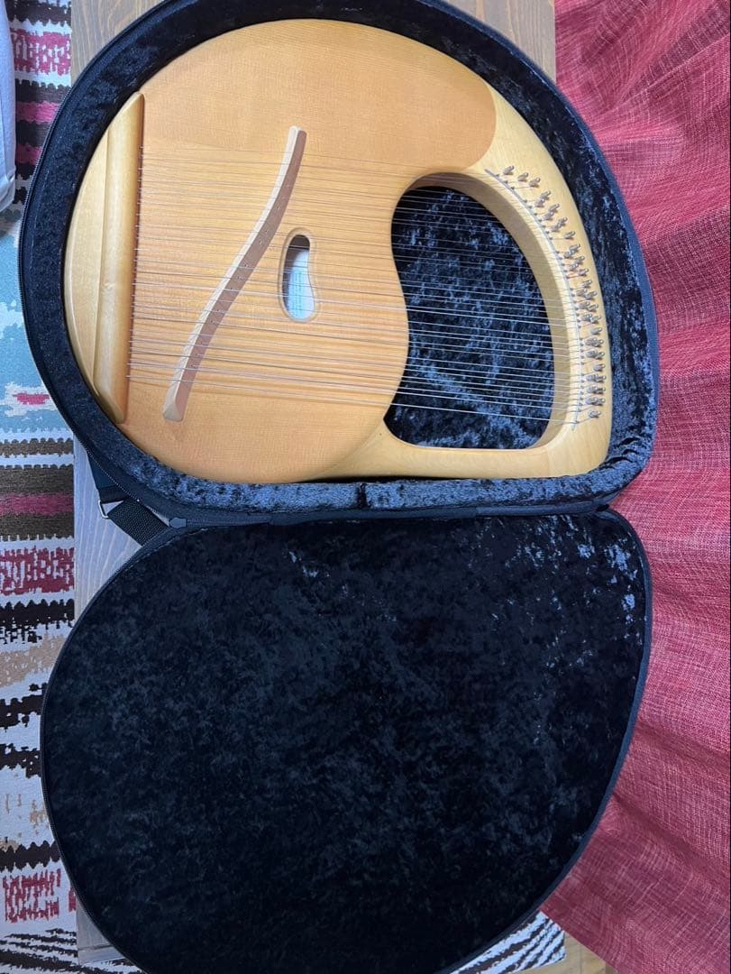 ゲルトナー　ライアーハープ　35弦　ハードケース、ソフトバッグ付き