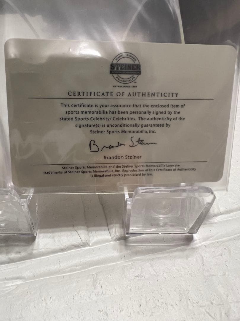 最多セーブ記録！Nike Mariano a 直筆サイン入りグローブ