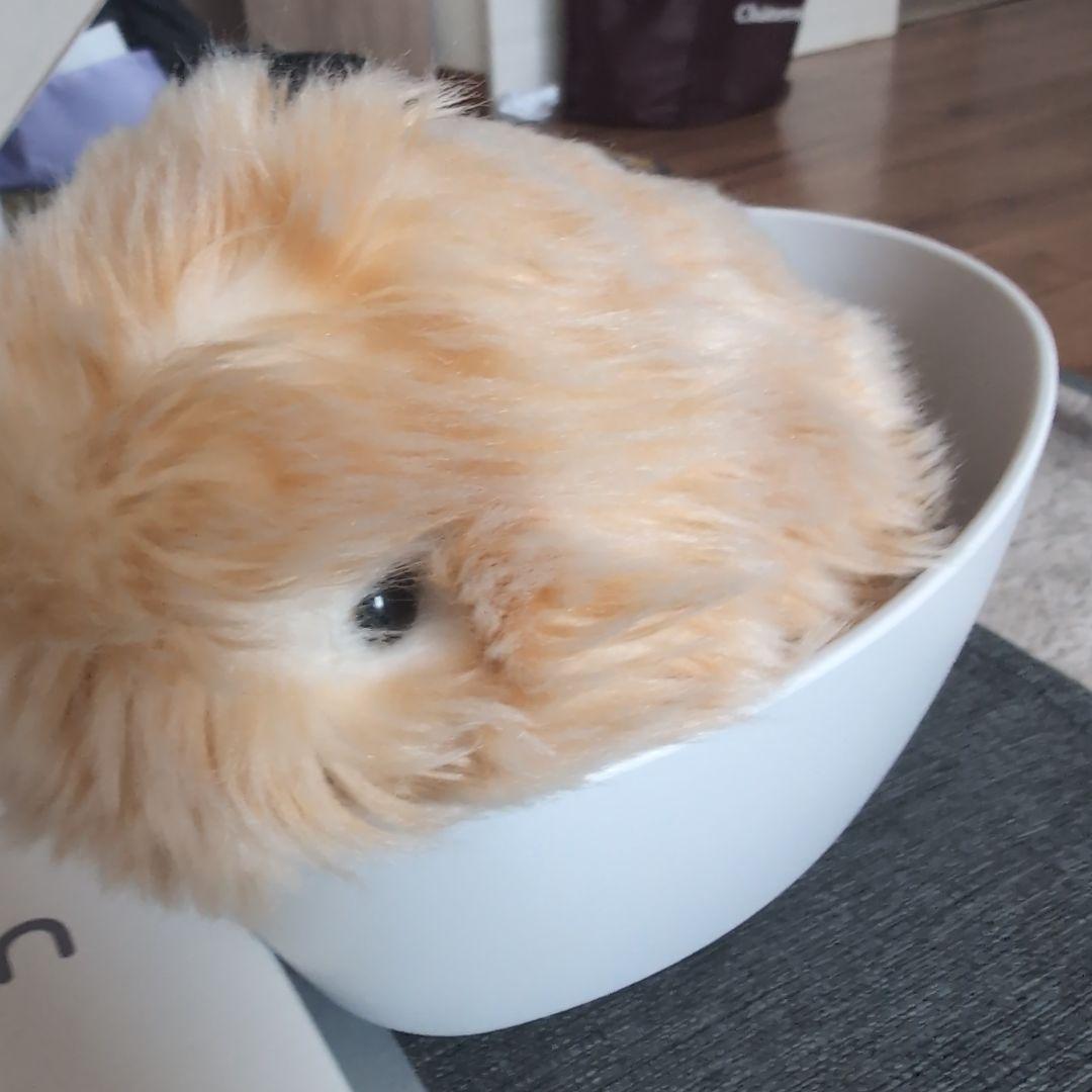 モフリンmoflin ゴールド