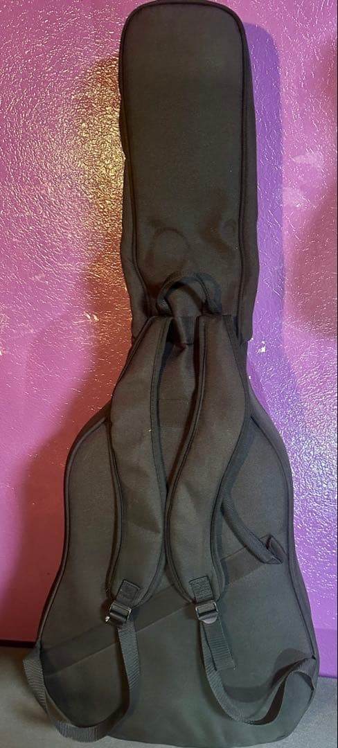 Stafford スタッフォード SF-300D-BLK エレアコギター