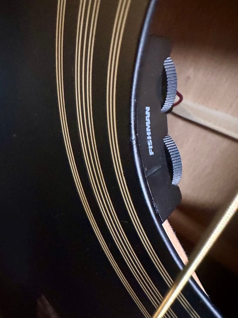 Stafford スタッフォード SF-300D-BLK エレアコギター