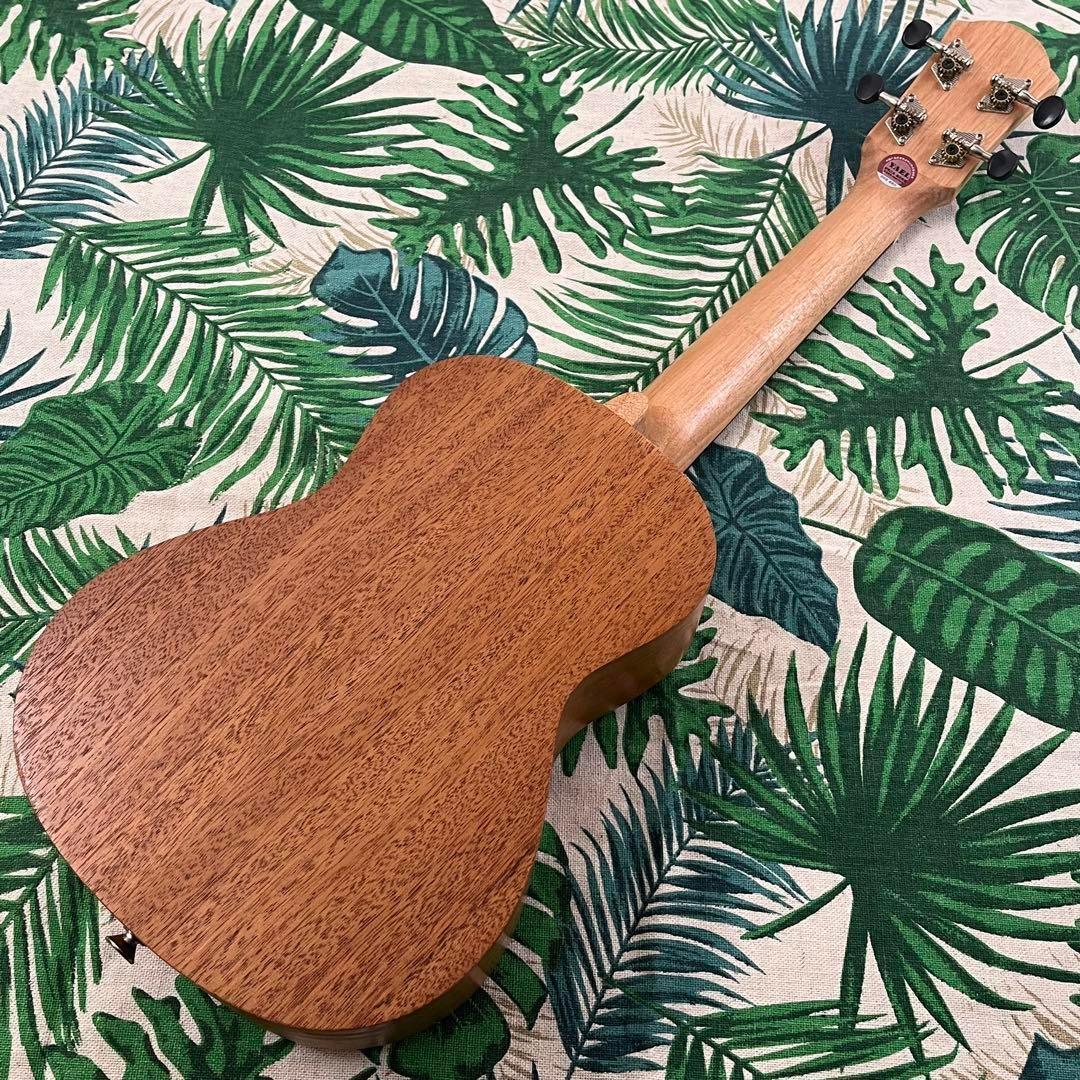 【入門セット】YAELバラ模様のコンサート・ウクレレ【ウクレレ専門店】