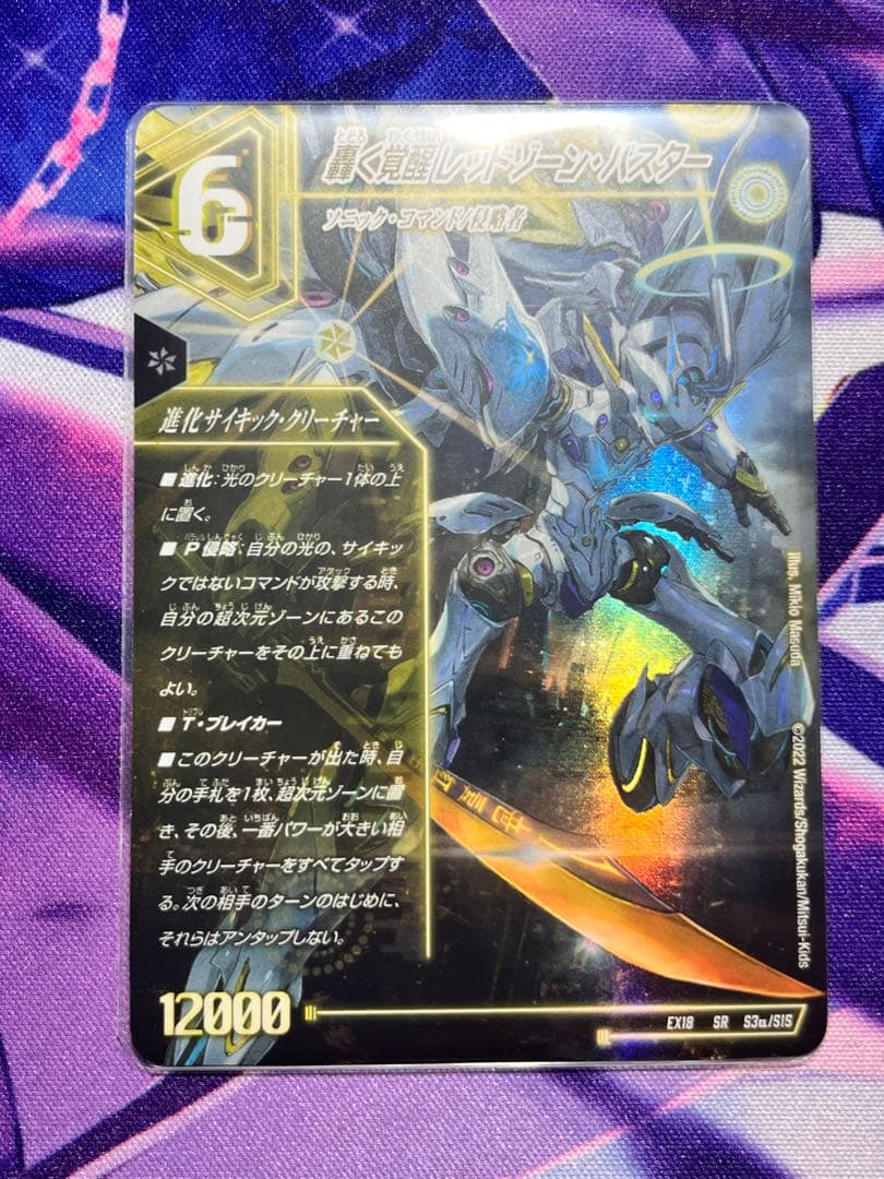 轟く覚醒 レッドゾーン・バスター /蒼き覚醒 ドギラゴンX ×2