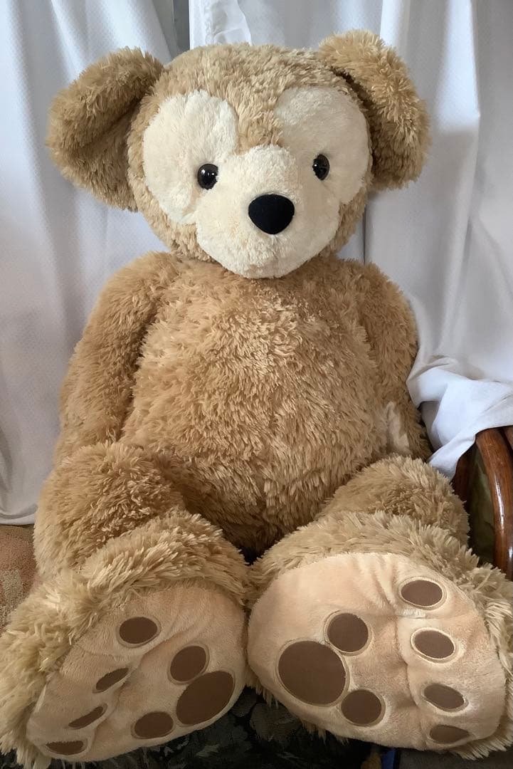 TDRTDSTDL ダッフィー　徳大　LL ディズニーシー