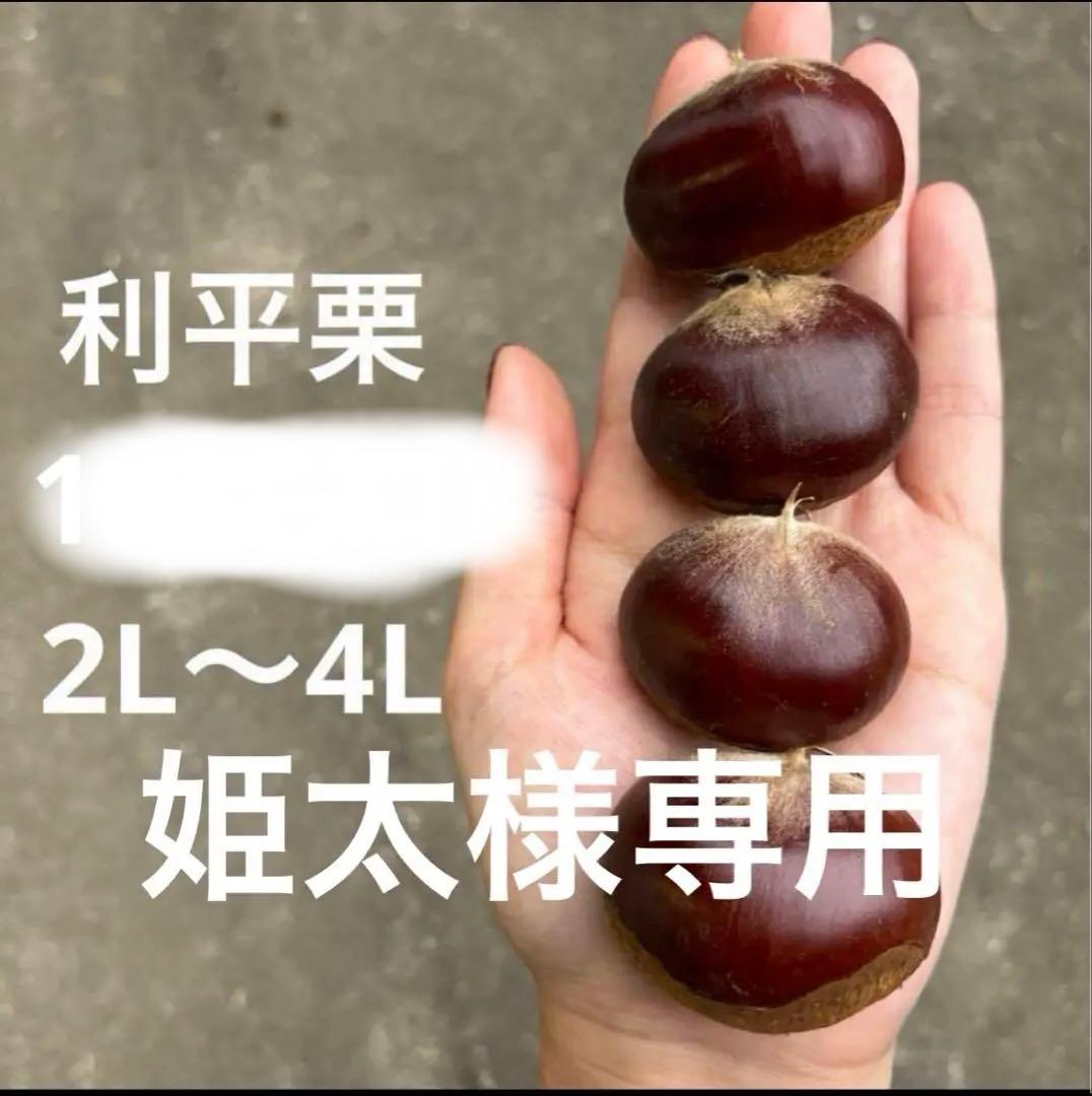 利平栗 5キロ　専用