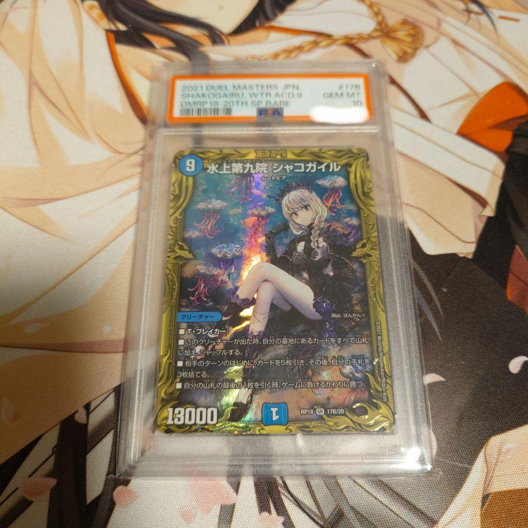 シャコガイル　B　PSA10