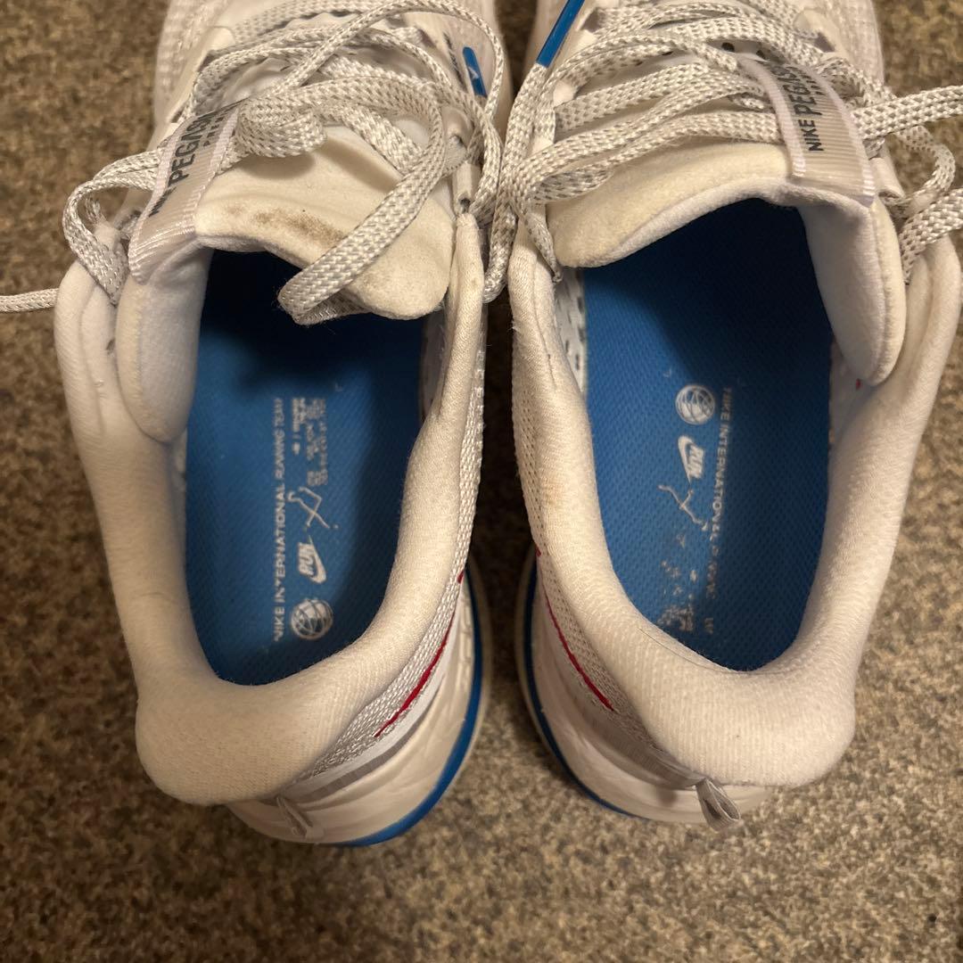 ナイキペガサスプレミアム 26cm