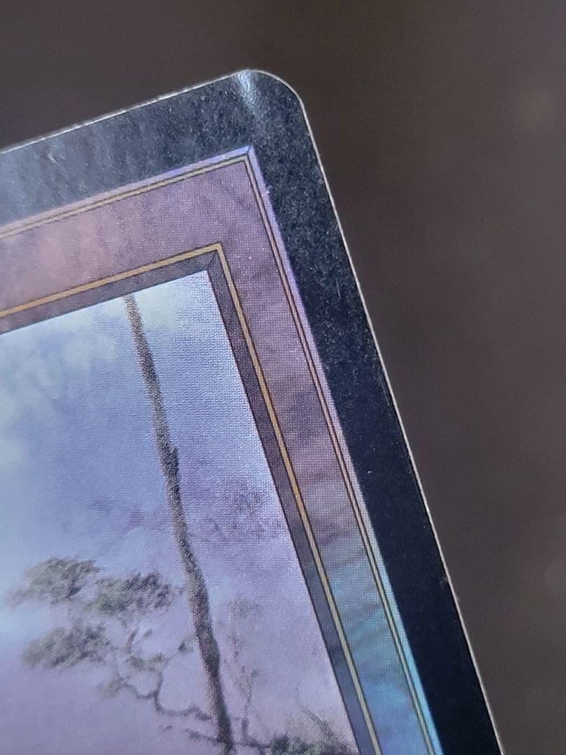 ラノワールの荒原/Llanowar Wastes　APC 日本語版 foil