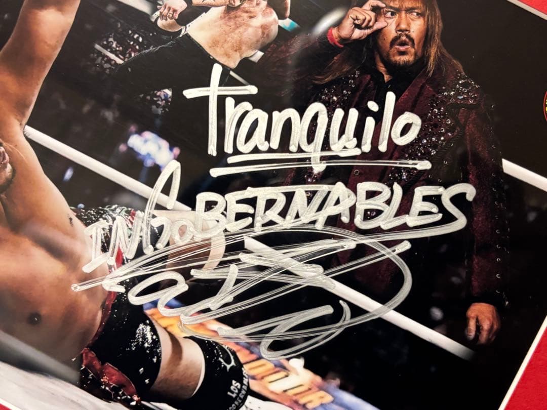 新日本プロレス 内藤哲也 直筆サイン入りフォトフレームIWGP世界ヘビー級王座