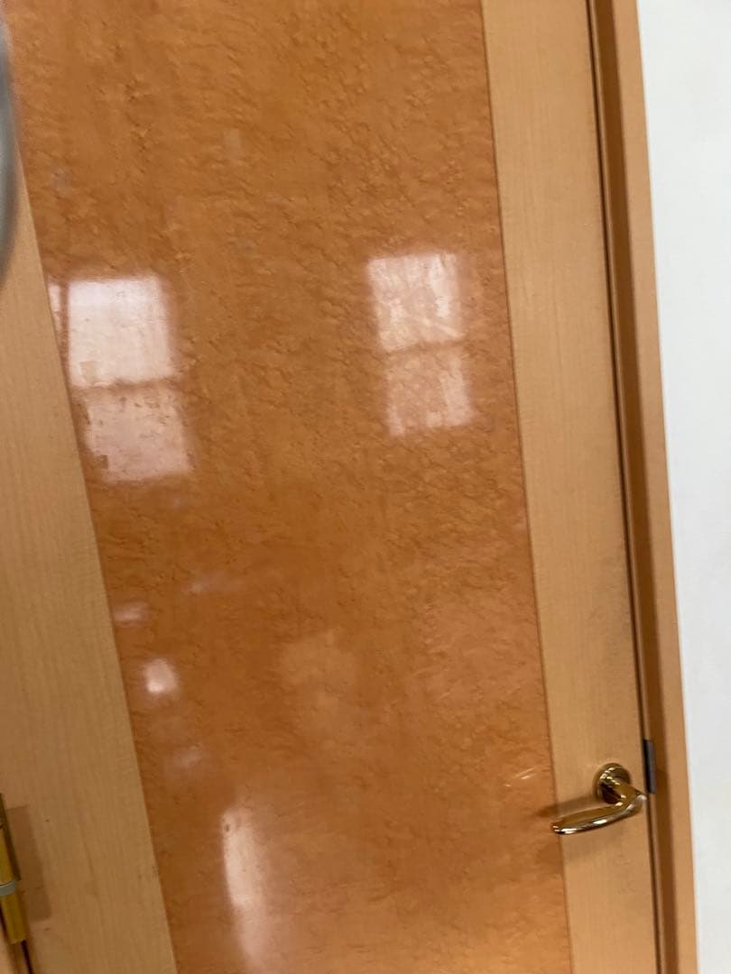 Veru Super Deepcruiser 釣竿