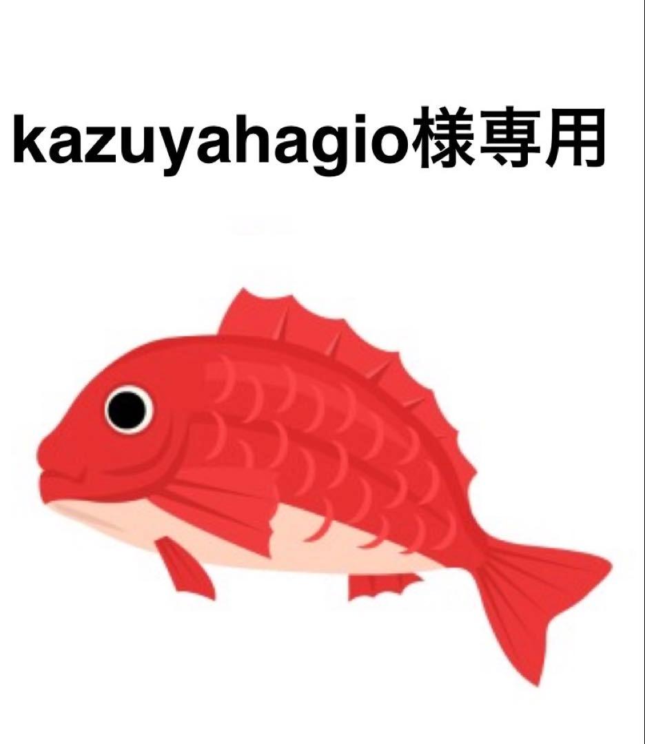 タイラバ　タングステン　kazuyahagio