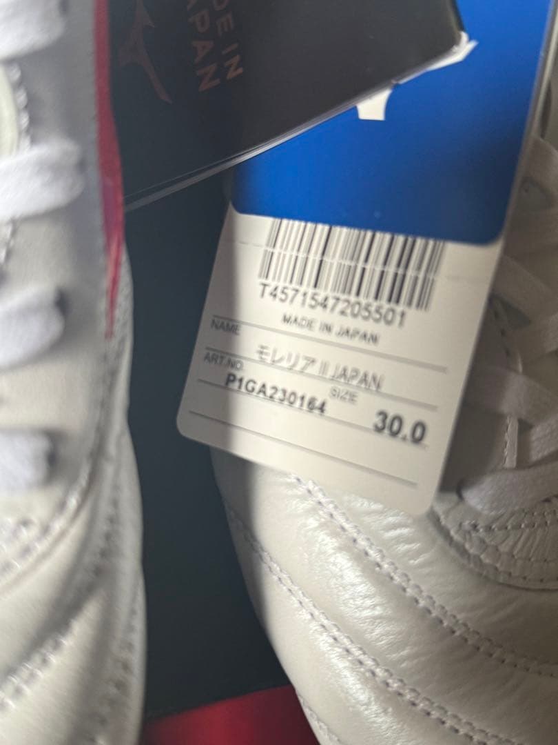 モレリア 2限定カラー　30cm