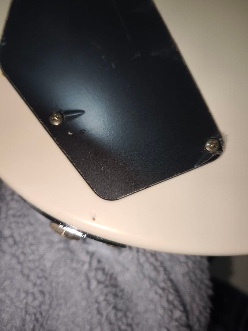 Fujigen Expert Elan ホワイト