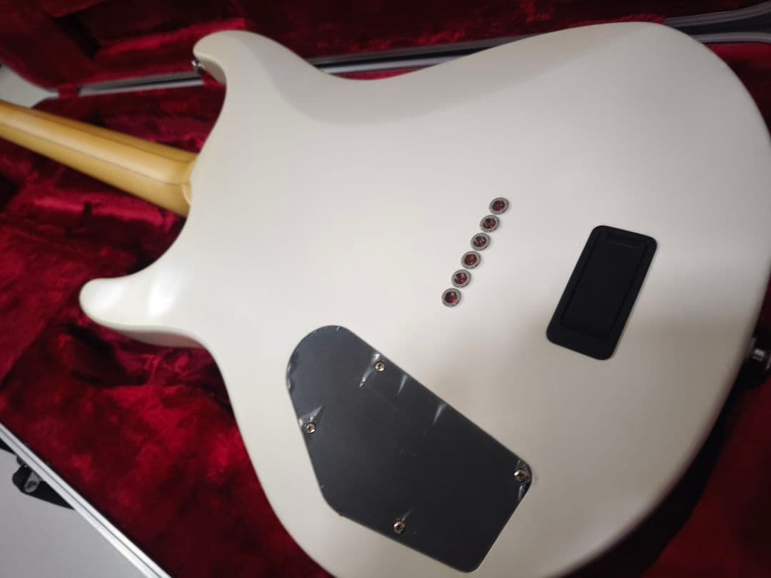 Fujigen Expert Elan ホワイト