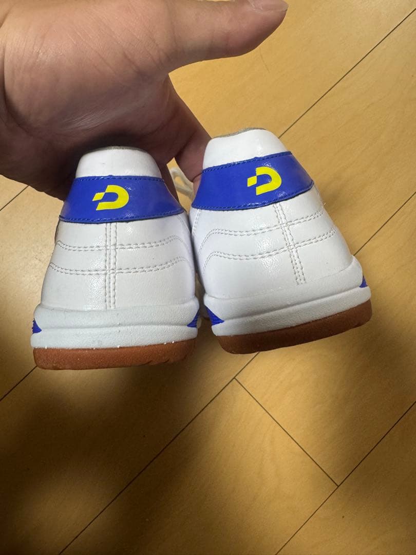 Desporte Campinas SP3 フットサルシューズ　25.5