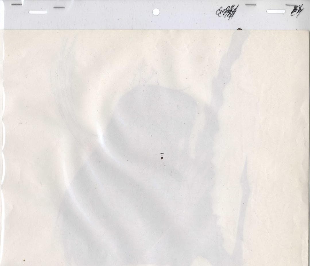 サイレントメビウス(劇場版) 香津美・リキュール セル画