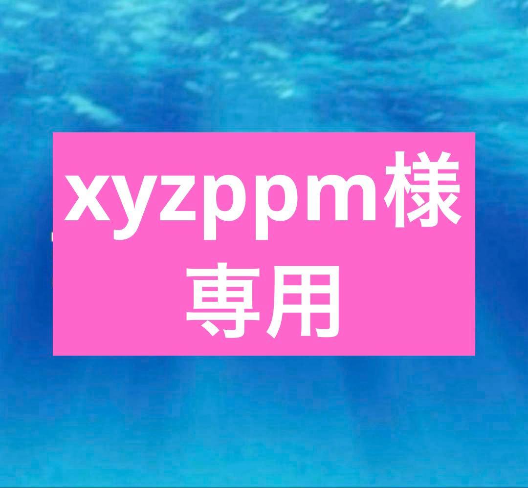 菓子 xyzppm