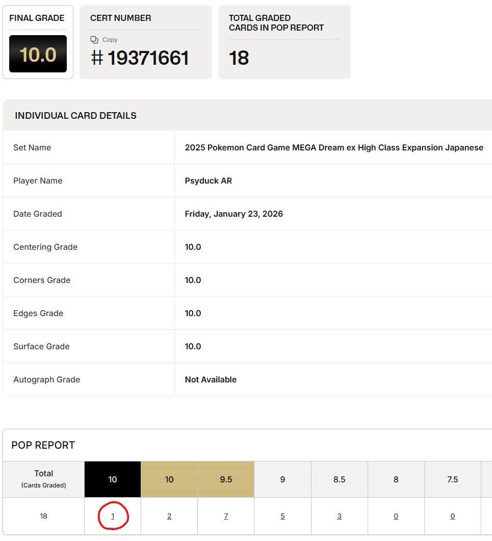POP1!! BGS10 ブラックラベル コダック AR 199/193